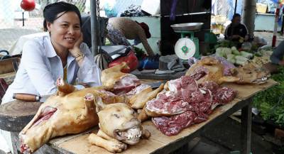 Власти Вьетнама попросили граждан перестать есть собак