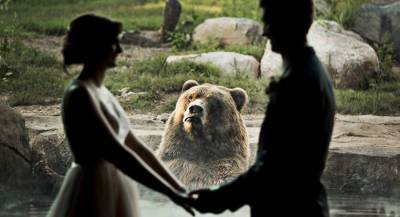 Бурый медведь «обвенчал» молодожёнов в зоопарке США