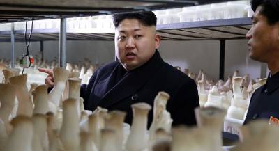 Ким Чен Ын подарил грибы главе Южной Кореи