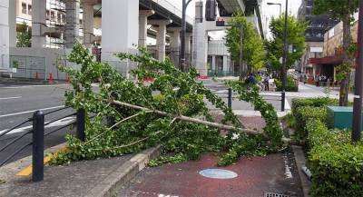 В Японии объявили о первой жертве тайфуна «Трами»