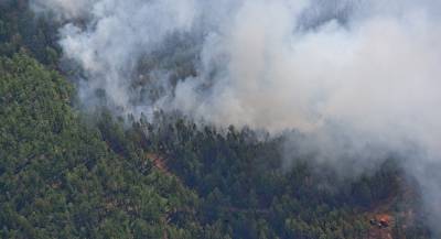В Германии две недели горит принадлежащий бундесверу лес