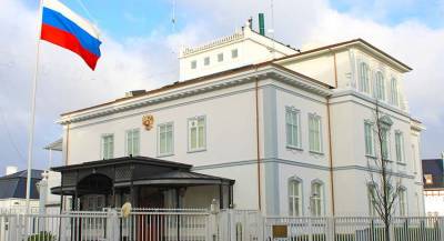 Посольство РФ в Дании оценило ситуацию с детьми Трофимовой