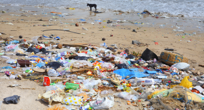 В Грузии запретили пластиковые пакеты
