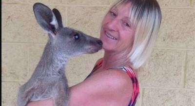 В Австралии кенгуру покалечил семью