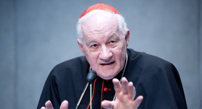 Канадский кардинал защитил Папу Римского
