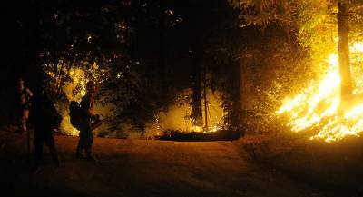 Жителей Калифорнии эвакуируют из-за природного пожара