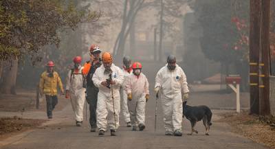 Число жертв пожаров в Калифорнии увеличилось