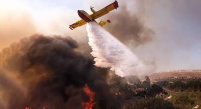 Жертв пожаров в Калифорнии стало больше