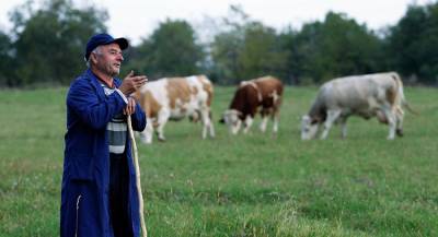 Сербия начнёт поставлять в РФ сельхозпродукцию